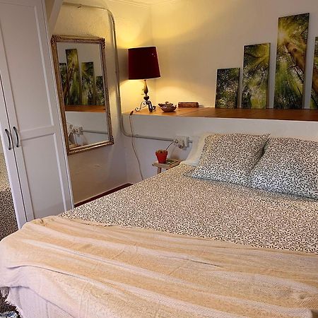 La Casita Del Bosque Apartman Sant Pere De Ribes Kültér fotó